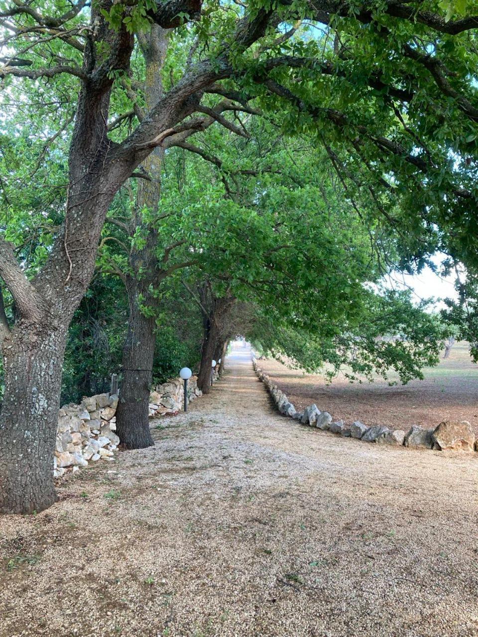 Antica Tenuta Dei Trulli By Qualitravel 阿尔贝罗贝洛 外观 照片
