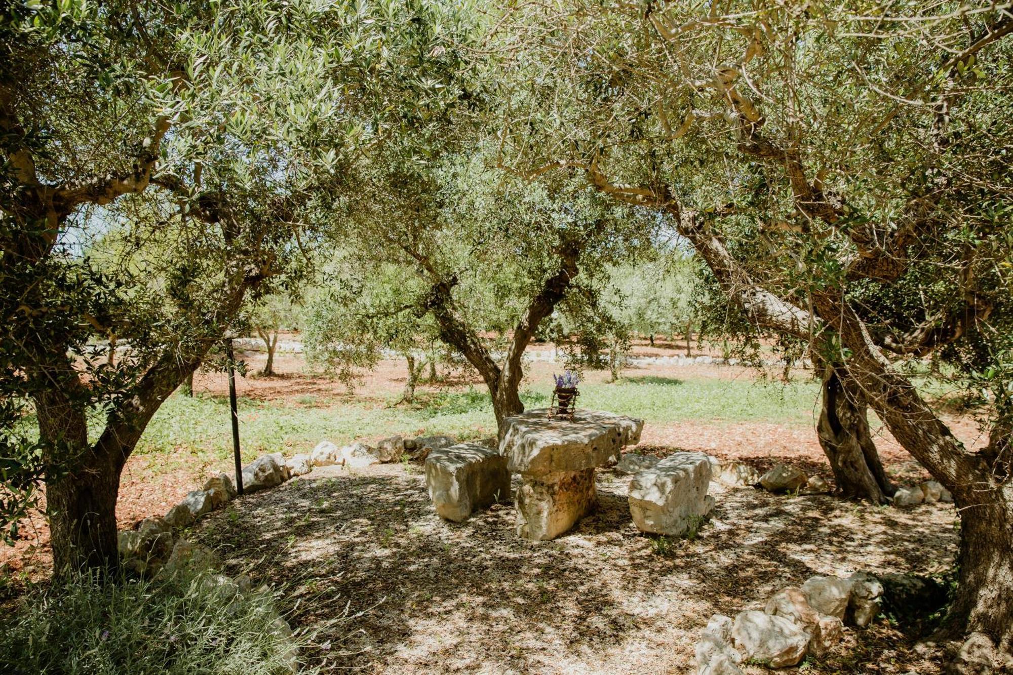 Antica Tenuta Dei Trulli By Qualitravel 阿尔贝罗贝洛 外观 照片